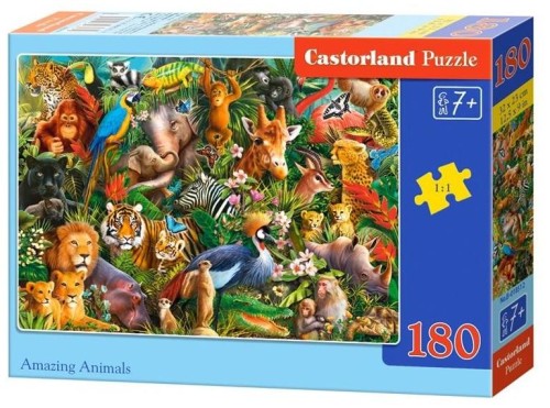 144196
