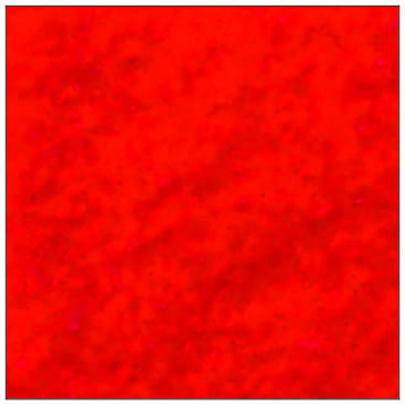 5902487900345.jpg