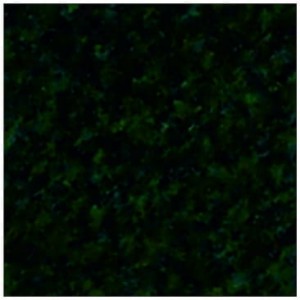 5902487900314.jpg