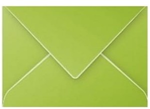 3329680055405.jpg