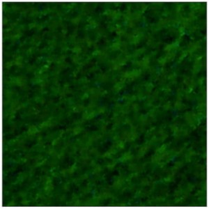 5902487900789.jpg