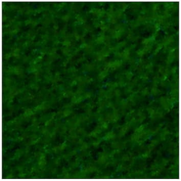 5902487900789.jpg