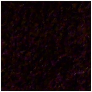 5902487900826.jpg