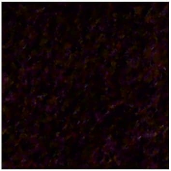 5902487900826.jpg