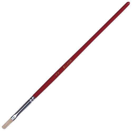 p4.jpg