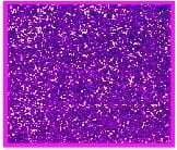 5902581119452.jpg