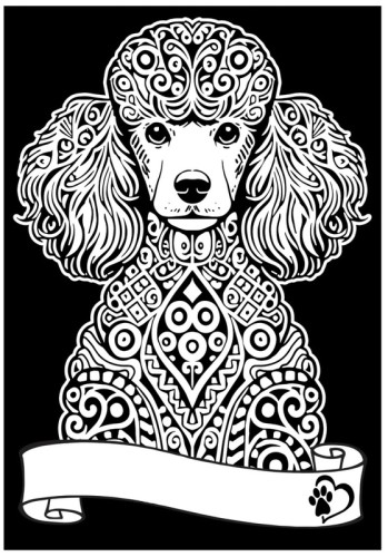 8024238050219.jpg