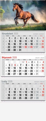 Avanti-2026-KTL-_Page_17.jpg