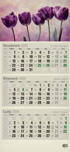 Avanti-2026-KTT-ECO-wizualizacia_Page_05.jpg