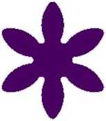 5907611706398.jpg