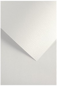 5903069055996.jpg