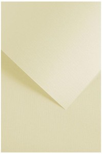 5903069056009.jpg