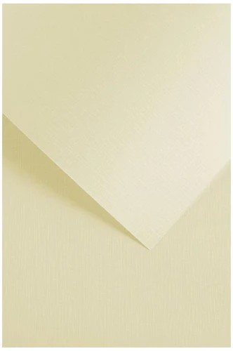5903069056009.jpg